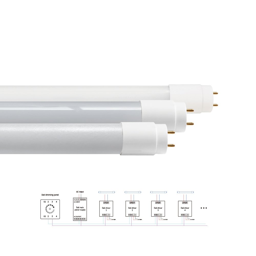 T8 Tube – DALI Control