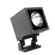 Spot Tree Spotlight – MB23 – 0609